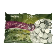 3120000023 Theelichten Met Huls Brandduur 6u 6x125st  11.10.005
